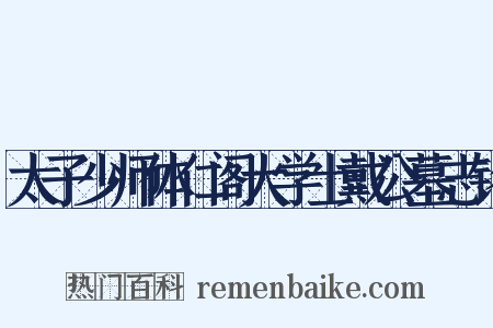 太子少师体仁阁大学士戴公墓志铭是什么意思的图片